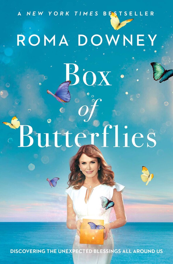 Box of Butterflies - Re-vived