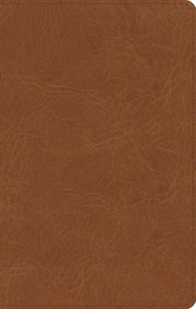 CSB Single-Column Personal Size Bible, Saddle - Re-vived