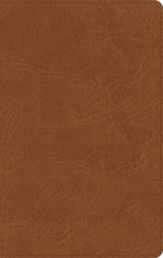 CSB Single-Column Personal Size Bible, Saddle - Re-vived