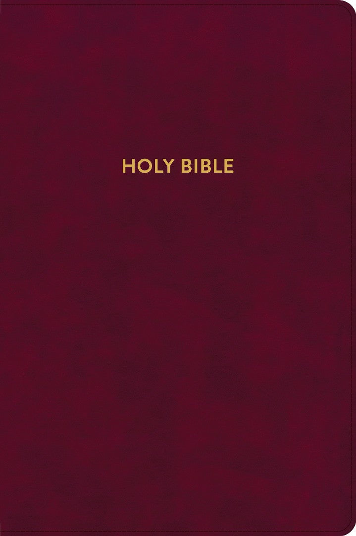 KJV Rainbow Study Bible, Burgundy LeatherTouch - Re-vived