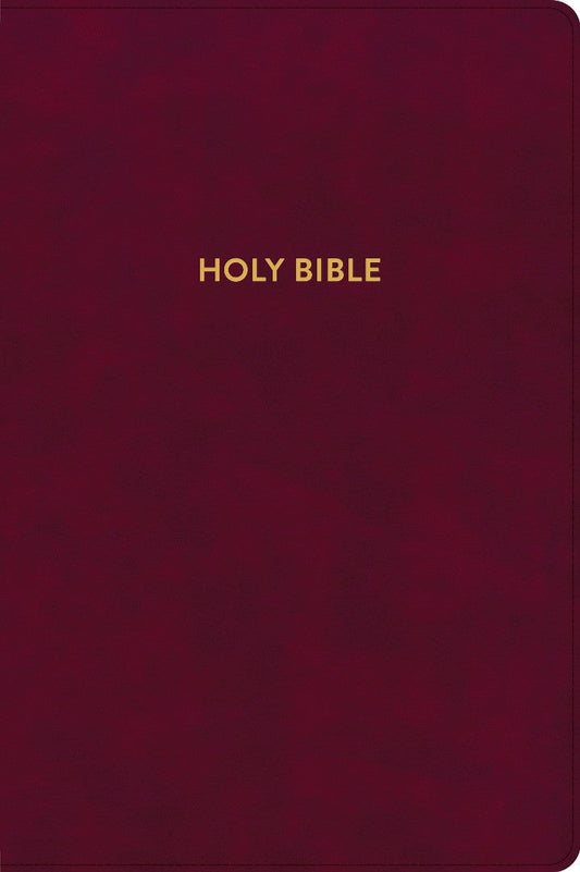 KJV Rainbow Study Bible, Burgundy LeatherTouch - Re-vived