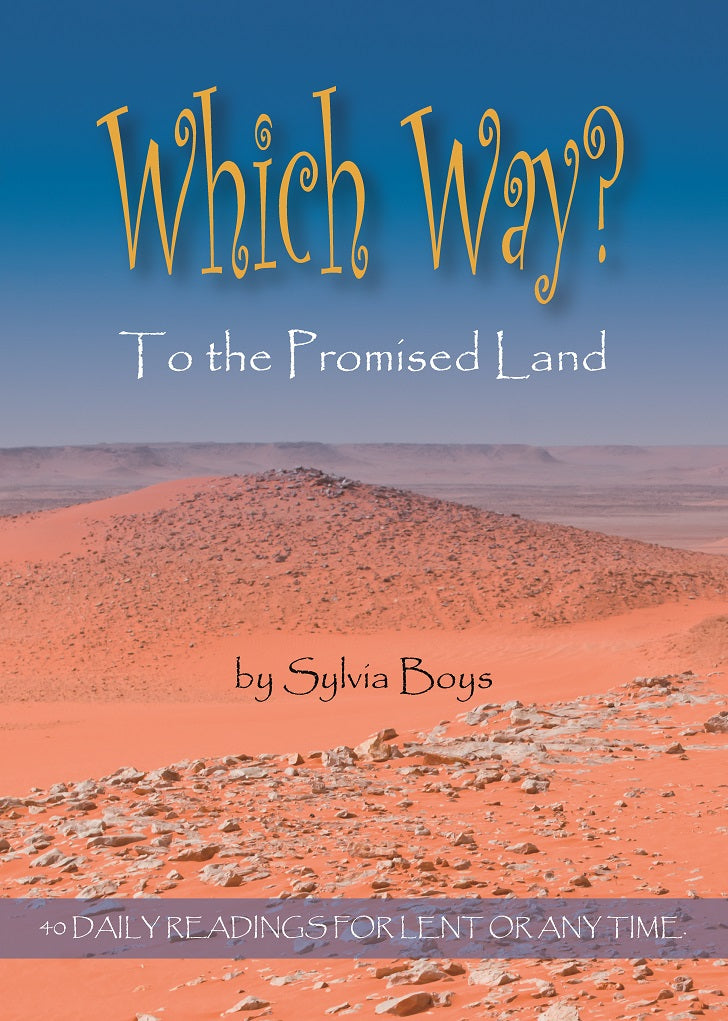 Which Way to the Promised Land - Re-vived