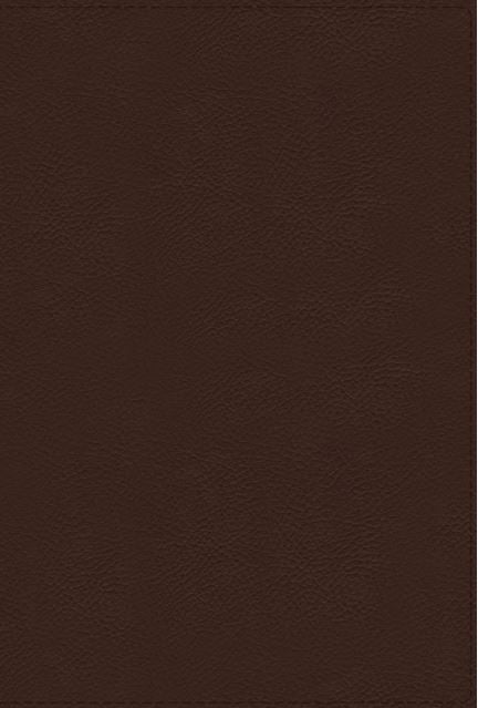 NRSVue Holy Bible with Apocrypha Leathersoft, Brown - Re-vived
