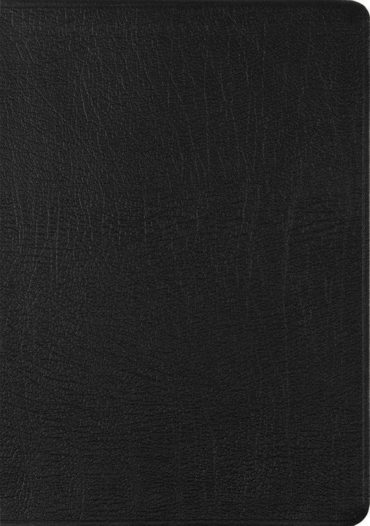ESV New Testament with Psalms and Proverbs - Re-vived