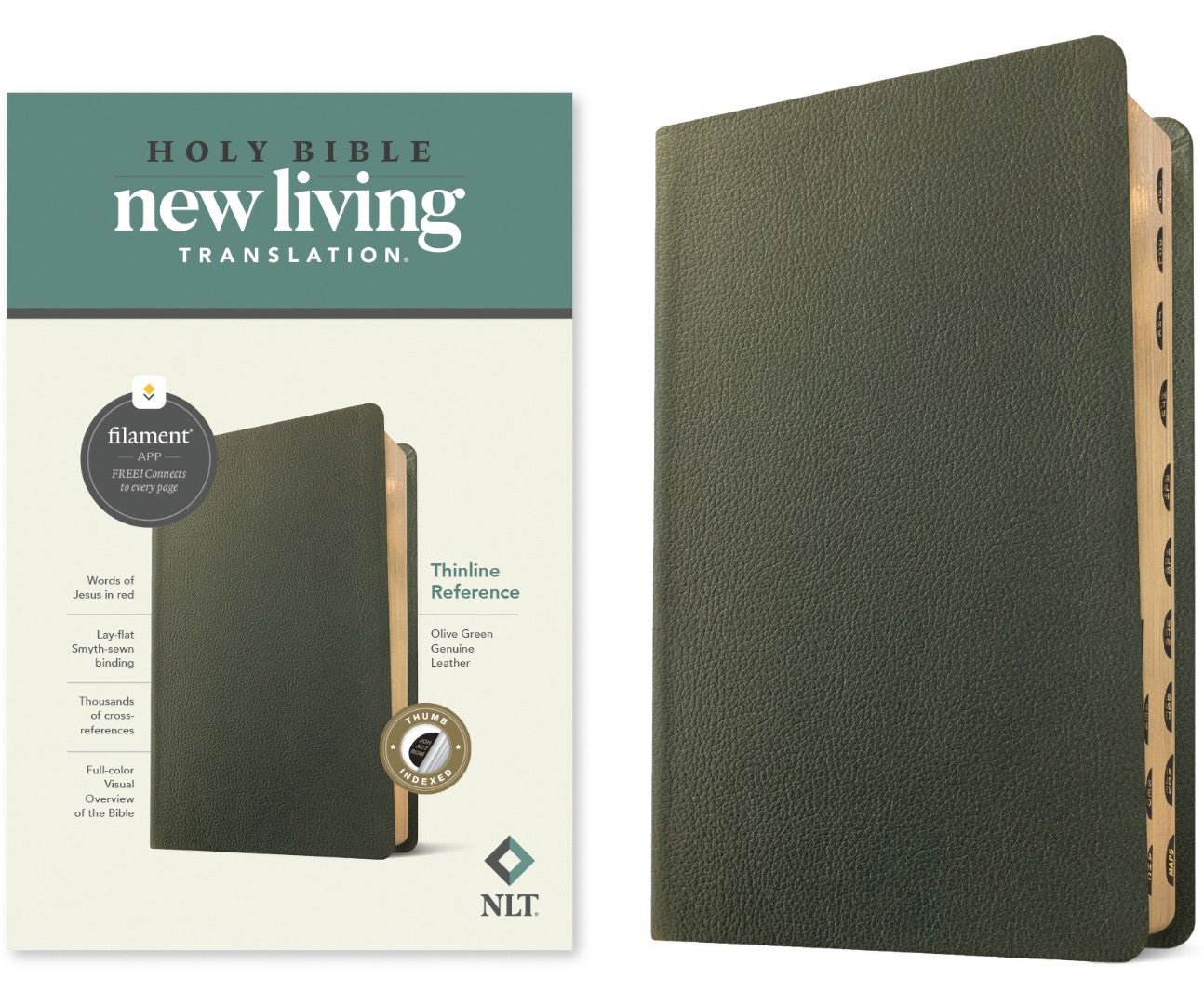 NLT Thinline Reference Bible, Filament Edition, Green - Re-vived