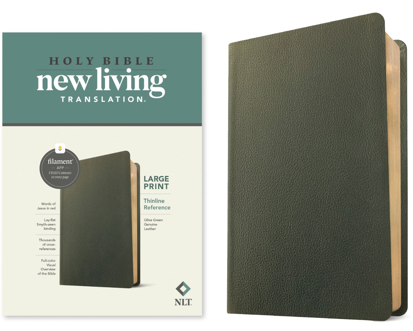 NLT Large Print Thinline Reference Bible, Filament Edition - Re-vived