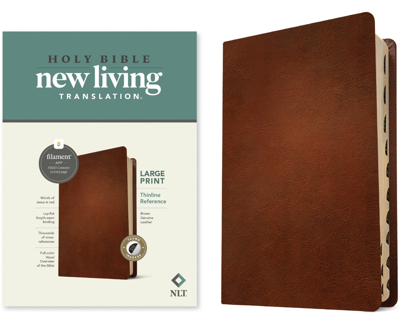 NLT Large Print Thinline Reference Bible, Filament Edition - Re-vived