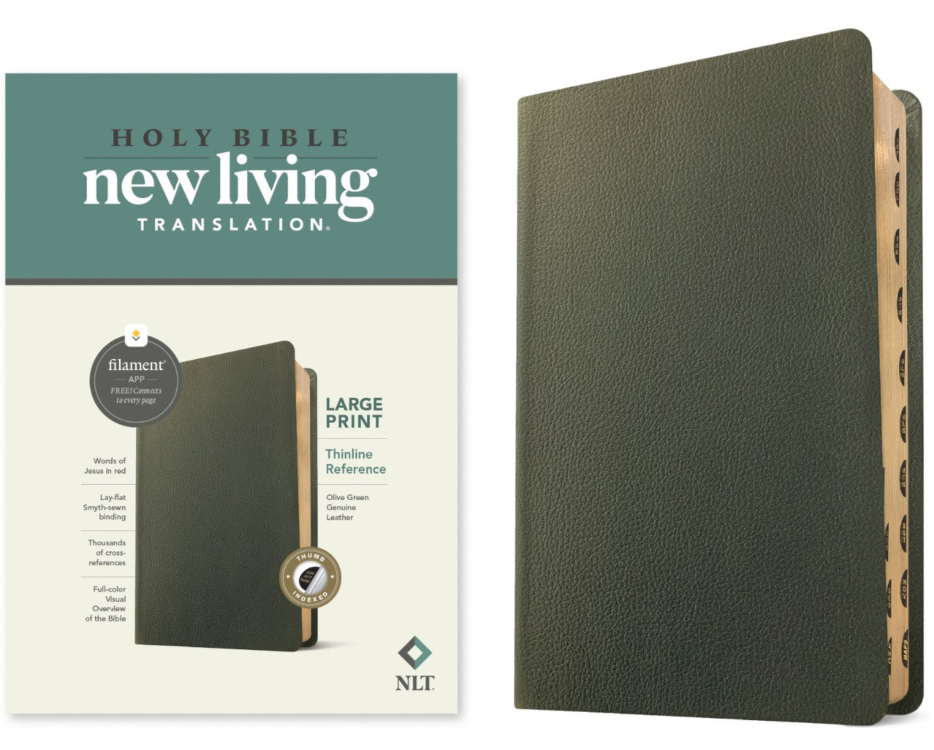 NLT Large Print Thinline Reference Bible, Filament Edition - Re-vived