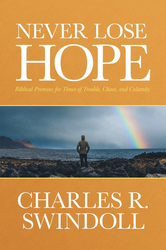 Never Lose Hope - Re-vived
