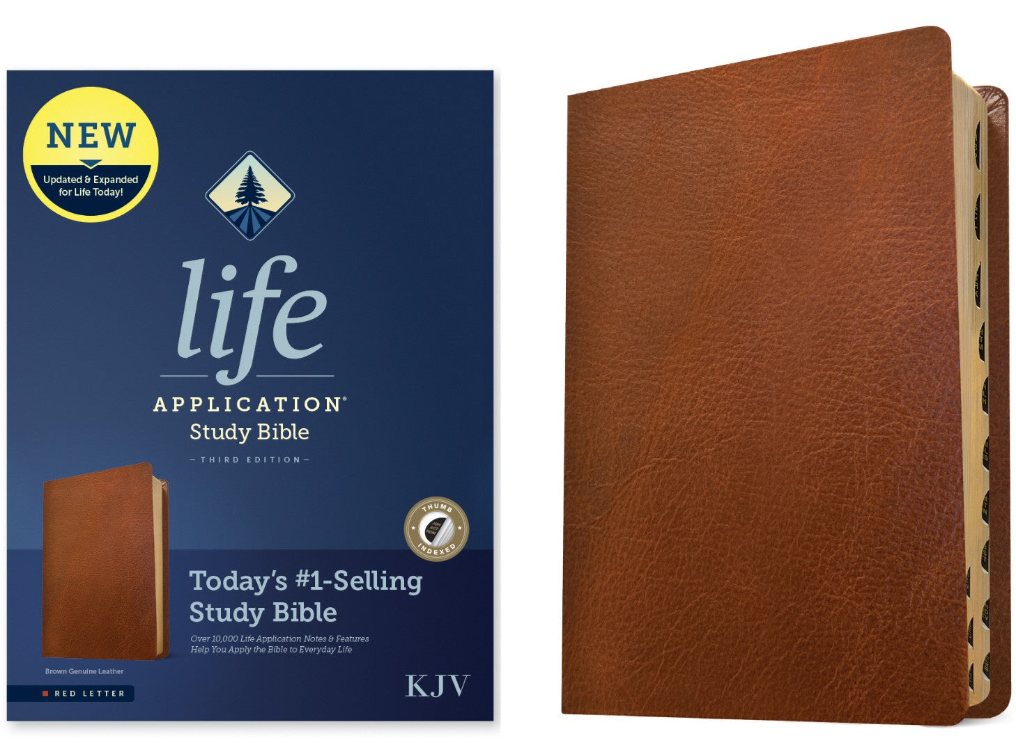 KJV Life Application Study Bible, Third Edition, Brown - Re-vived
