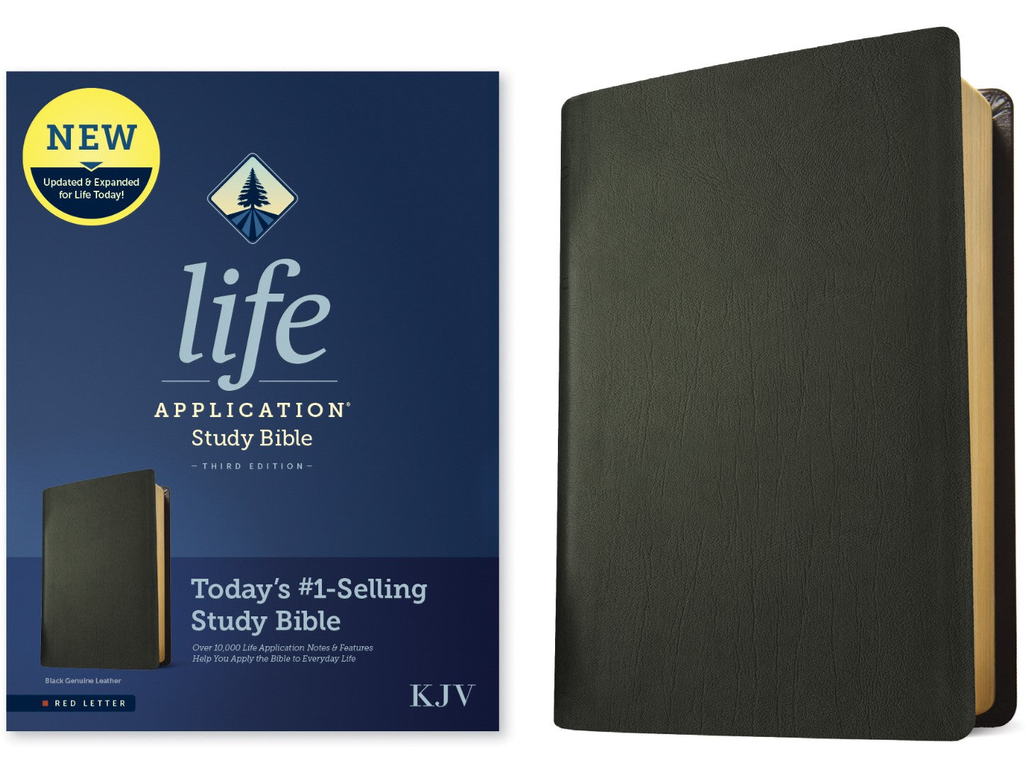 KJV Life Application Study Bible, Third Edition, Black - Re-vived