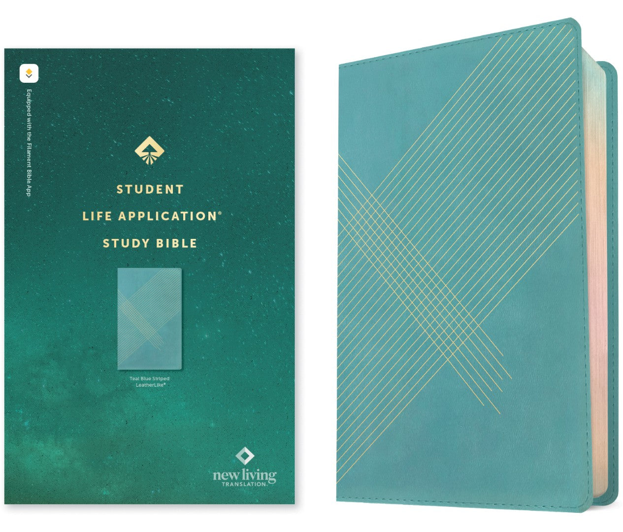 NLT Student Life Application Study Bible, Filament Edition - Re-vived