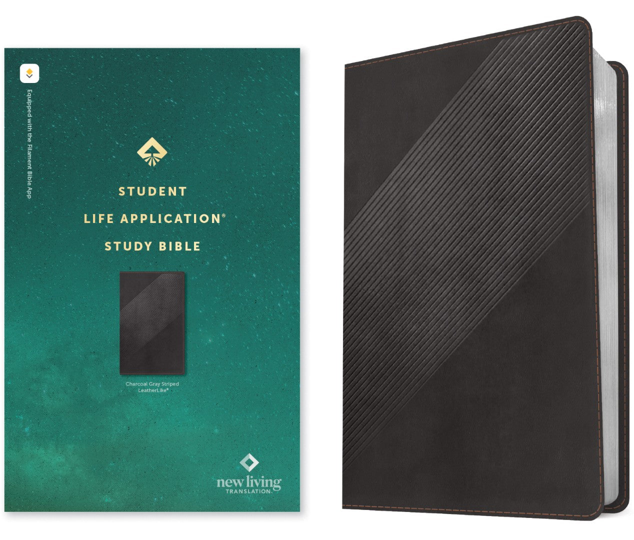 NLT Student Life Application Study Bible, Filament Edition - Re-vived