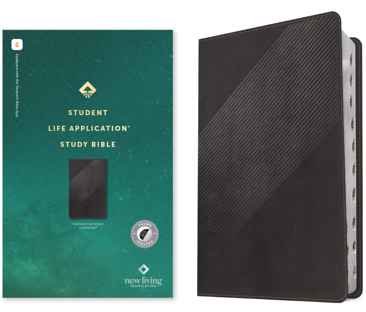 NLT Student Life Application Study Bible, Filament Edition - Re-vived