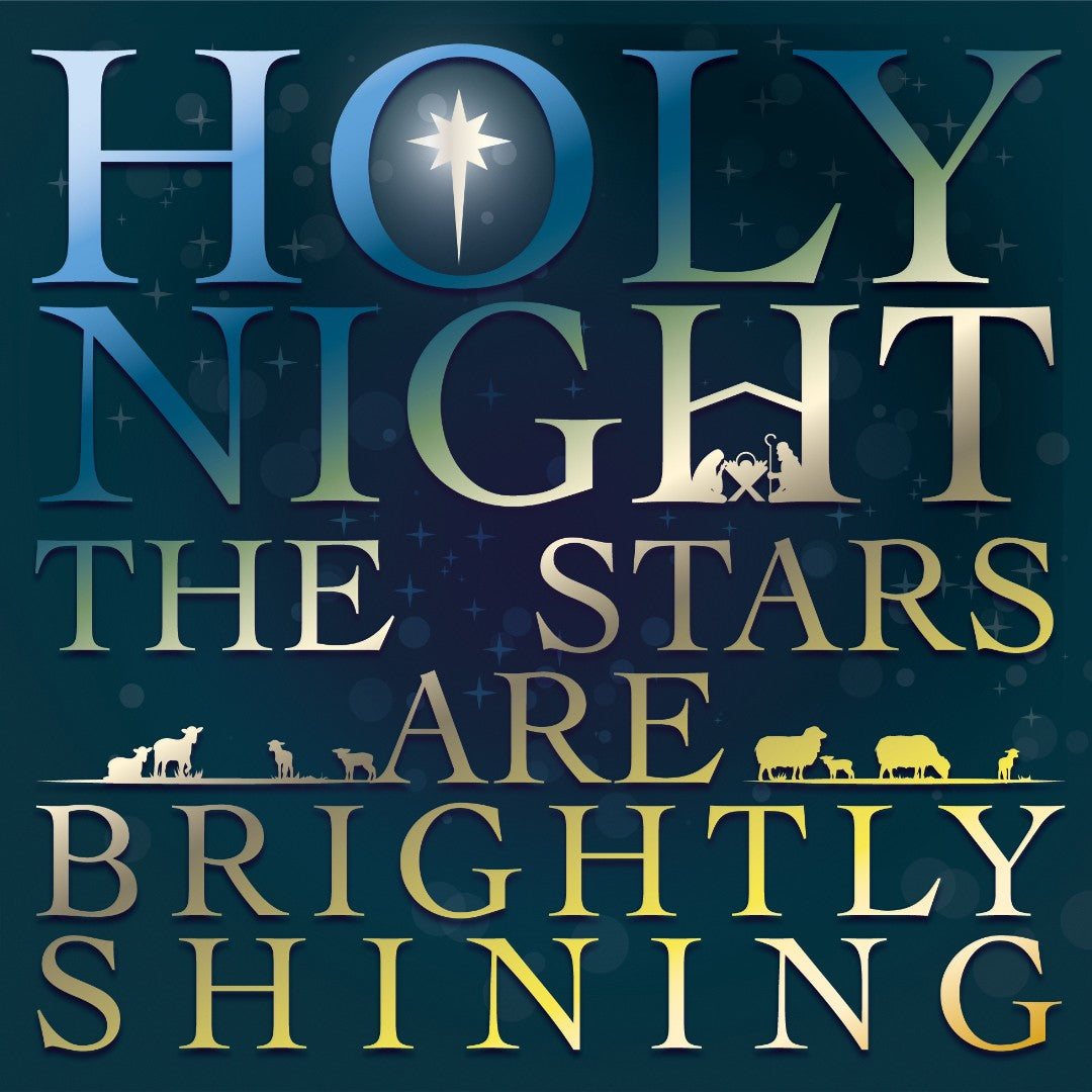Luxury Christmas Cards: Holy Night (Pack of 10) - Re-vived