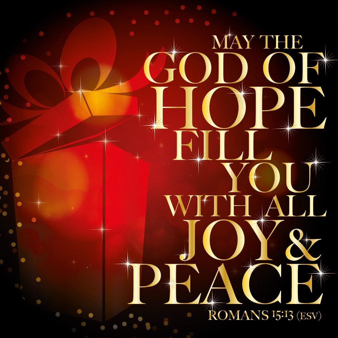 Luxury Christmas Cards: Joy and Peace (Pack of 10) - Re-vived