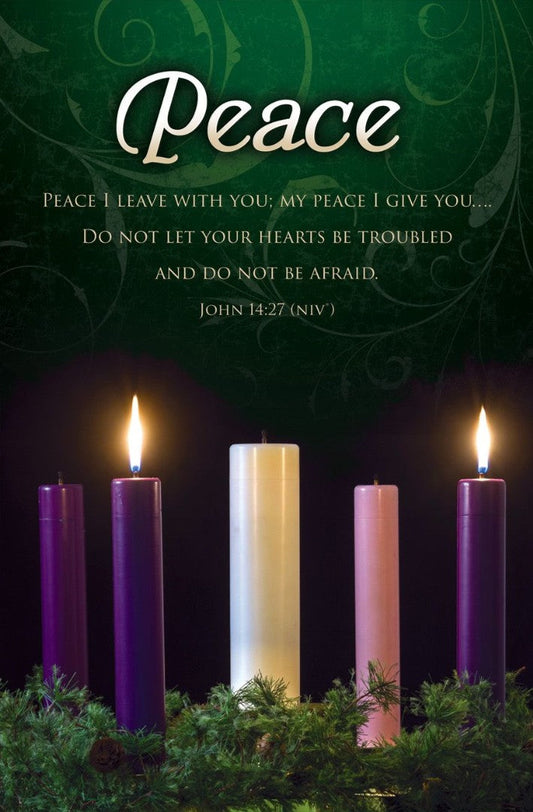 Peace Advent Week 2 Bulletin (pack of 100) - Re-vived