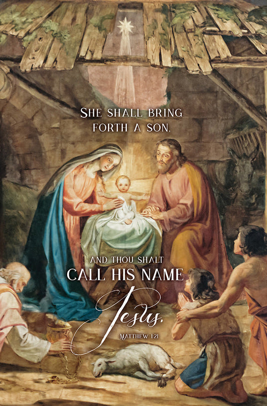 She Shall Bring Forth a Son Bulletin (pack of 100) - Re-vived