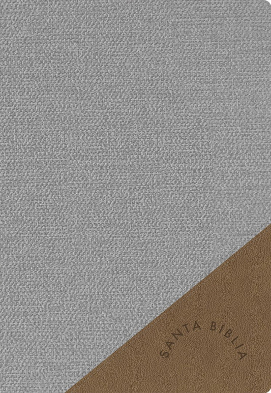 RVR 1960 Biblia Letra Súper Gigante edición 2023 gris - Re-vived
