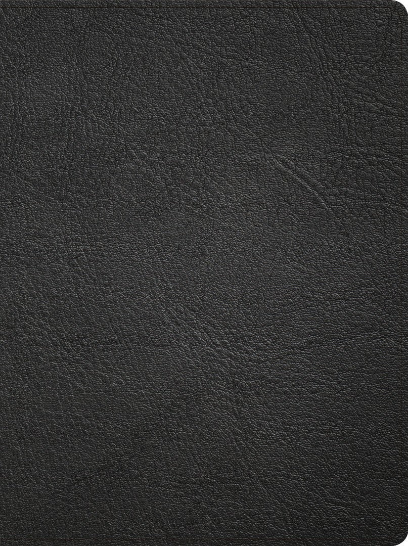 CSB Life Counsel Bible, Genuine Leather - Re-vived