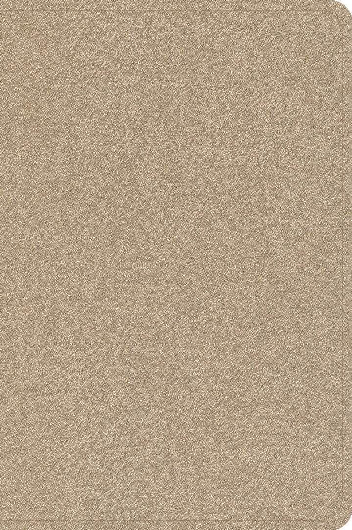 CSB Large Print Compact Reference Bible, Gold Leathertouch - Re-vived