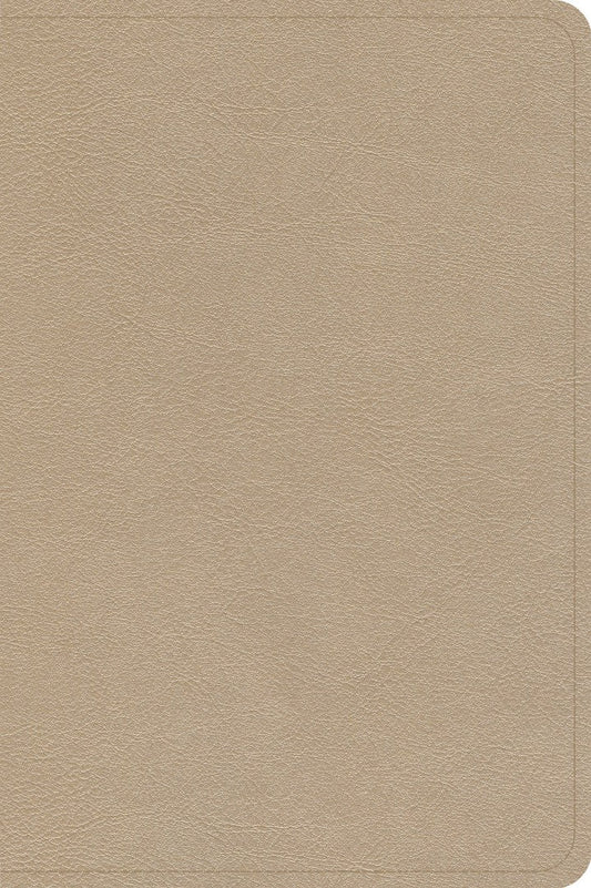 CSB Large Print Compact Reference Bible, Gold Leathertouch - Re-vived