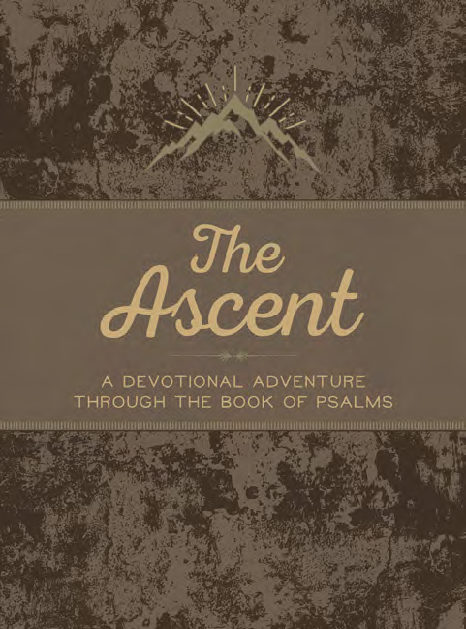 The Ascent - Re-vived