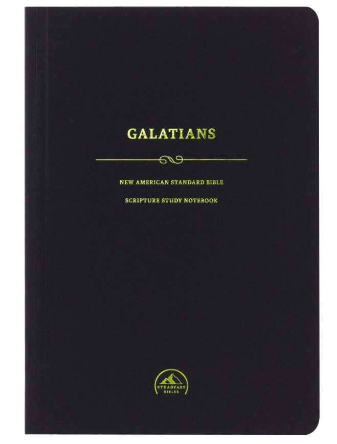 NASB Scripture Study Notebook: Galatians - Re-vived