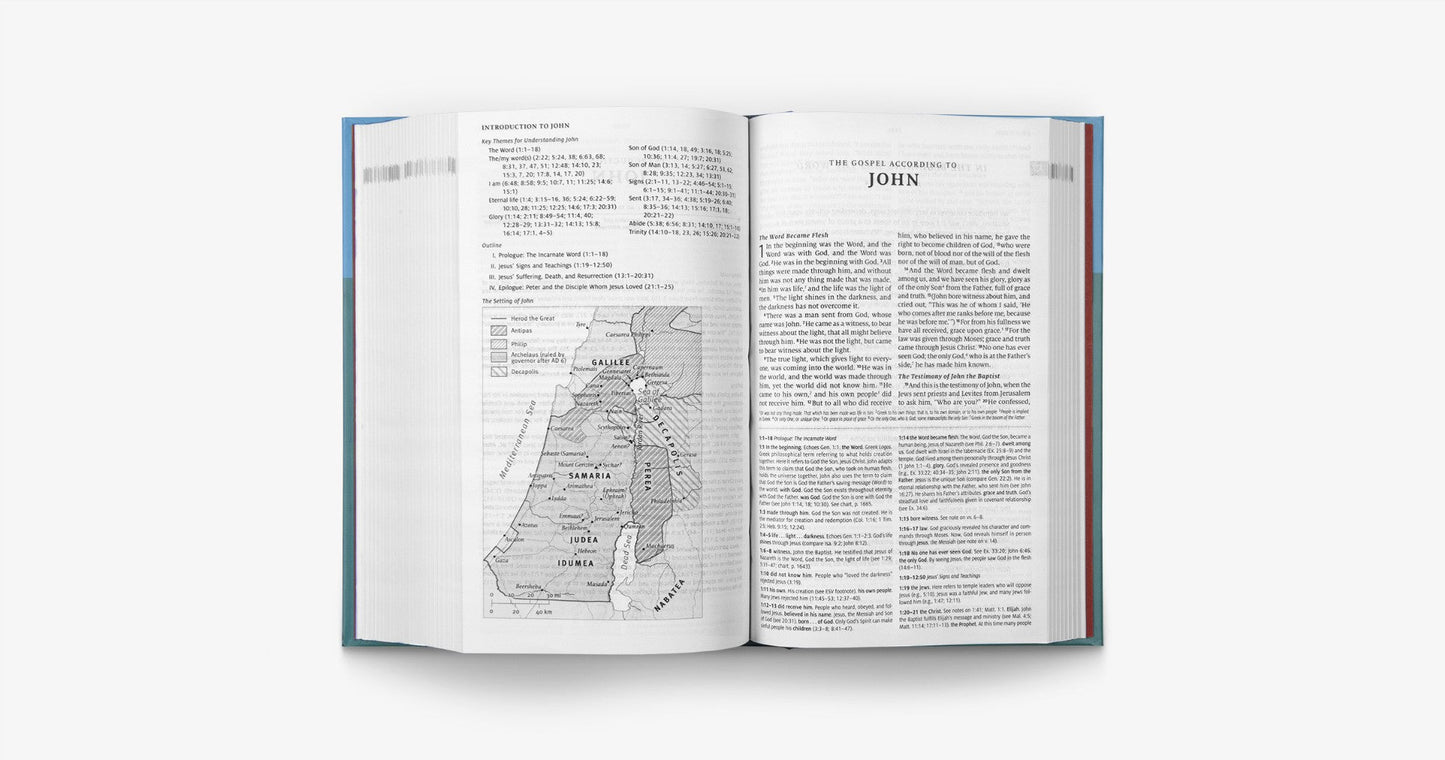 ESV Teen Study Bible - Re-vived