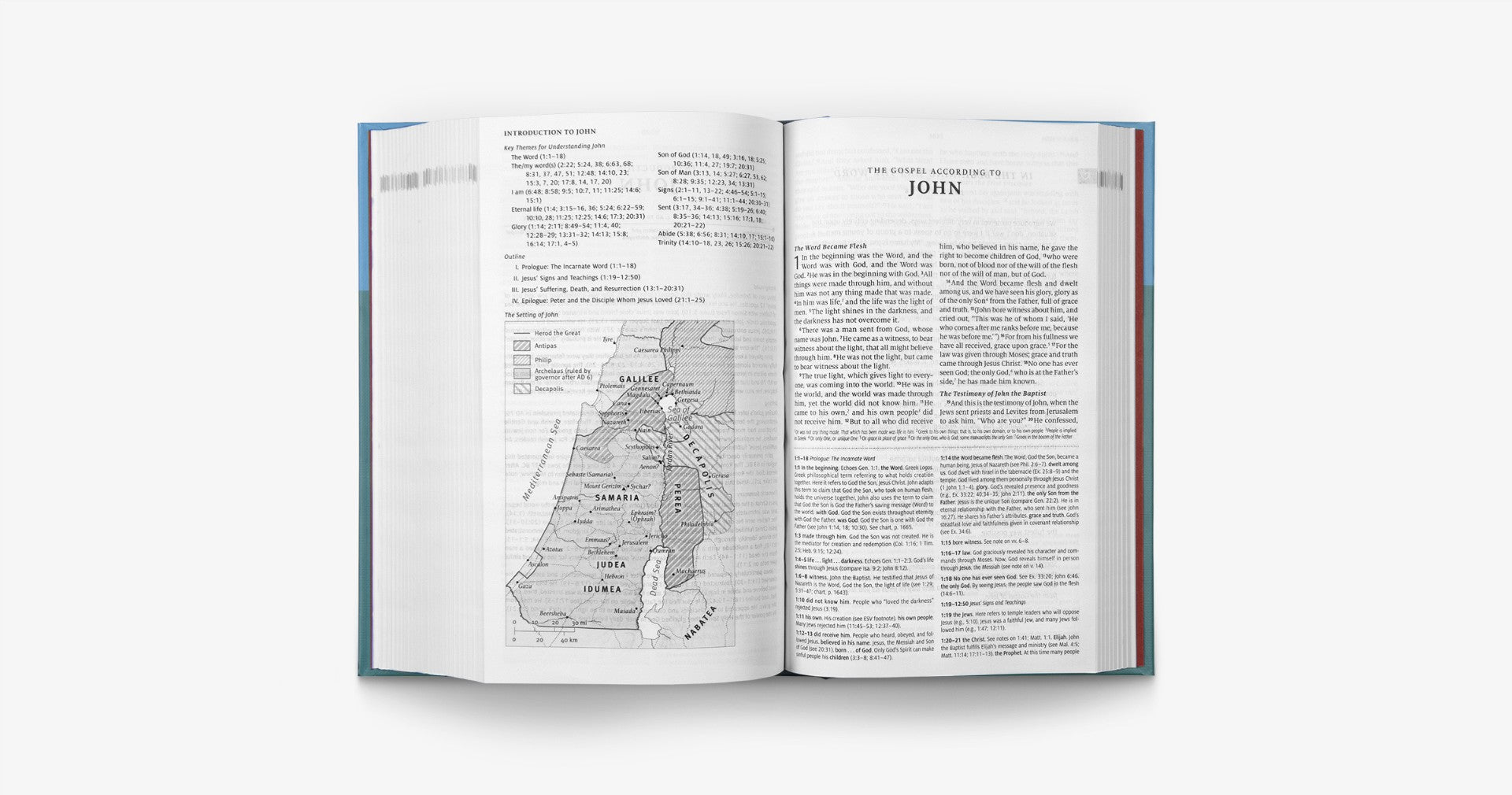 ESV Teen Study Bible (Wellspring) - Re-vived