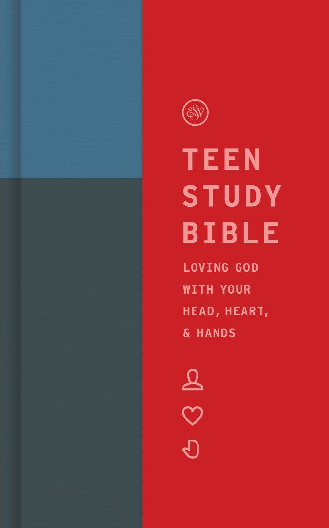 ESV Teen Study Bible (Cliffside) - Re-vived