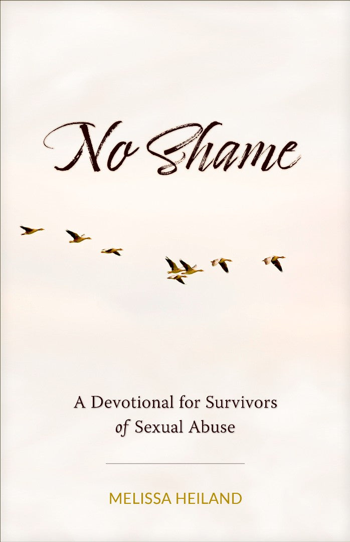 No Shame - Re-vived