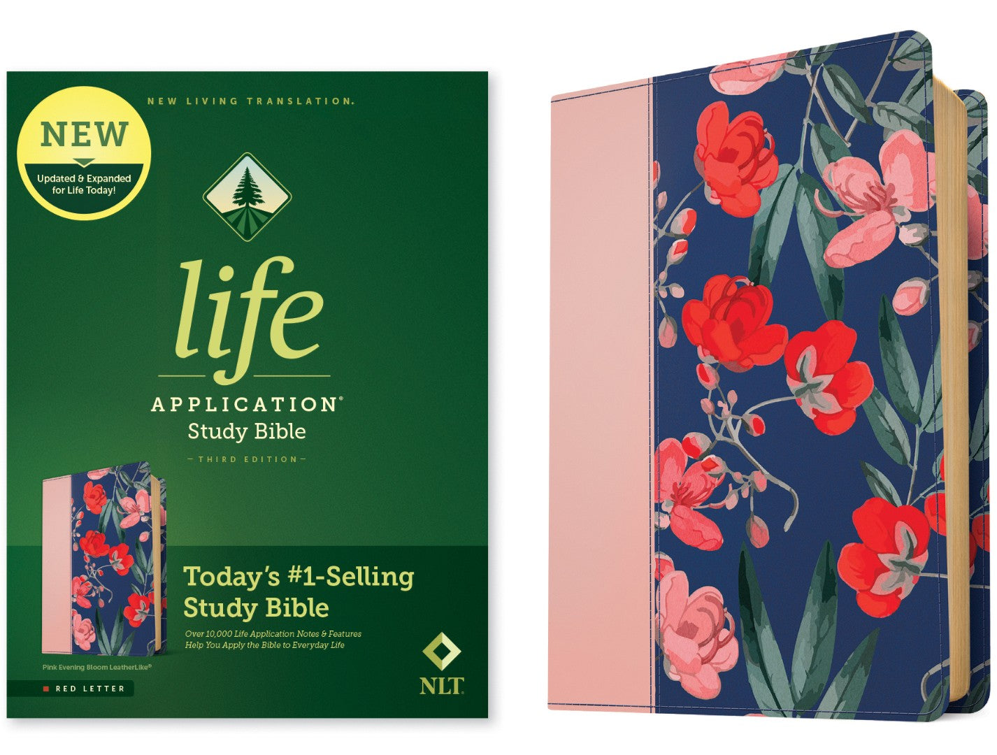 NLT Life Application Study Bible, Third Edition - Re-vived
