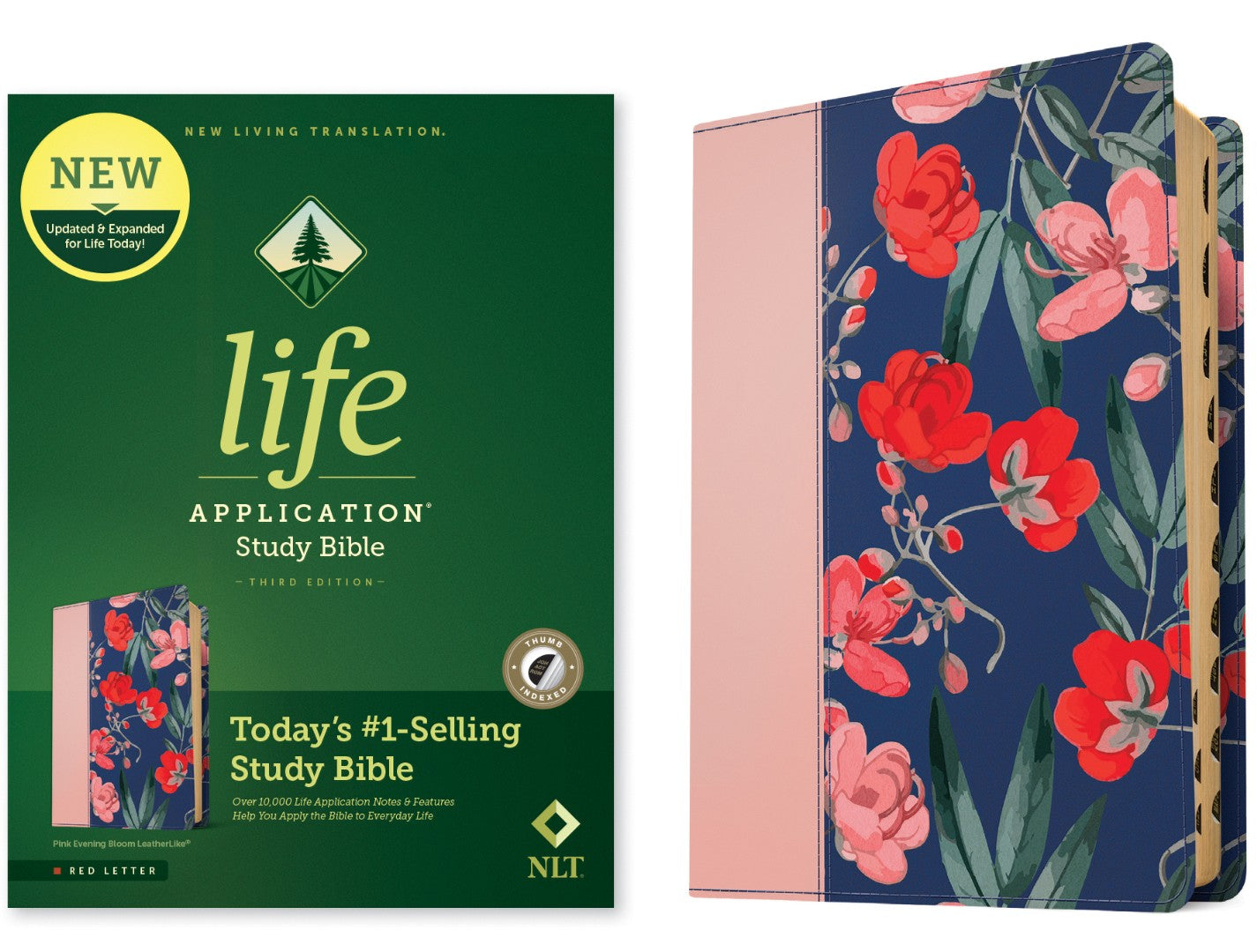 NLT Life Application Study Bible, Third Edition - Re-vived
