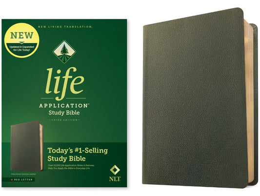 NLT Life Application Study Bible, Third Edition - Re-vived