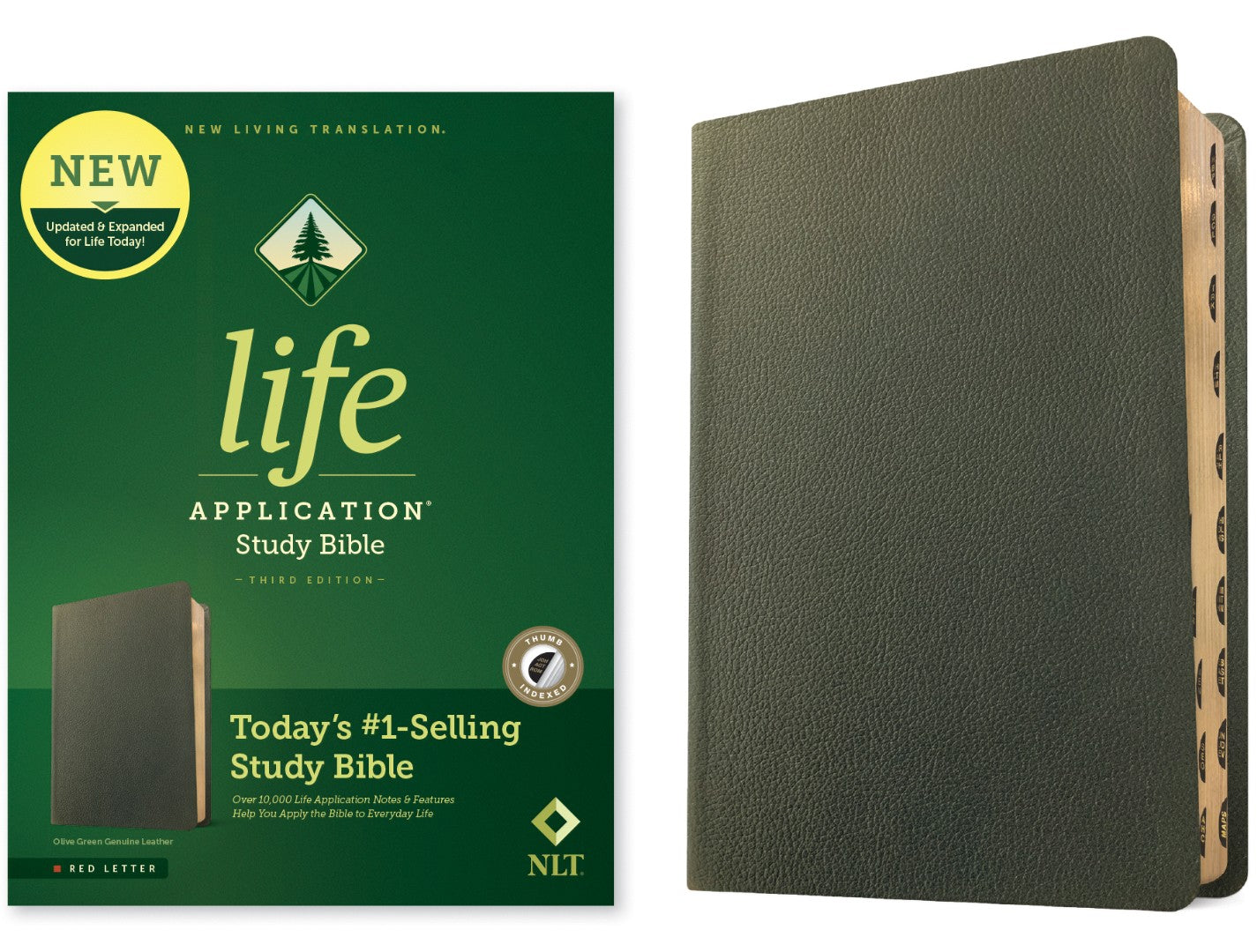 NLT Life Application Study Bible, Third Edition - Re-vived