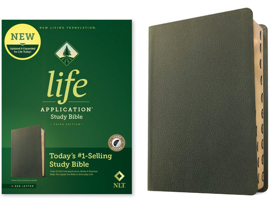 NLT Life Application Study Bible, Third Edition - Re-vived
