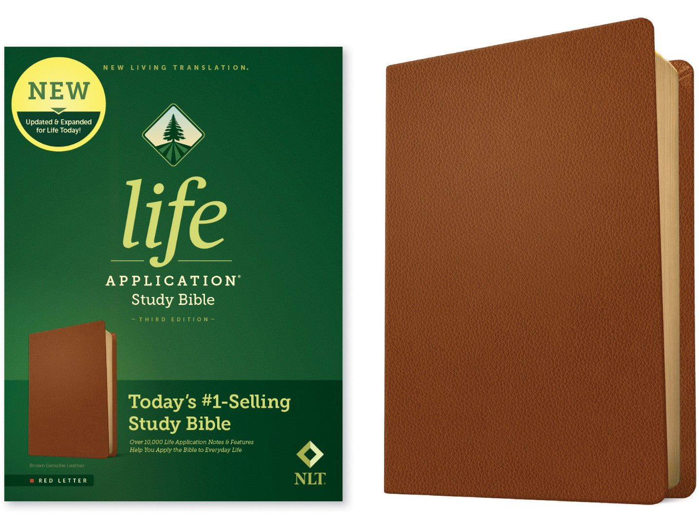 NLT Life Application Study Bible, Third Edition, Brown - Re-vived