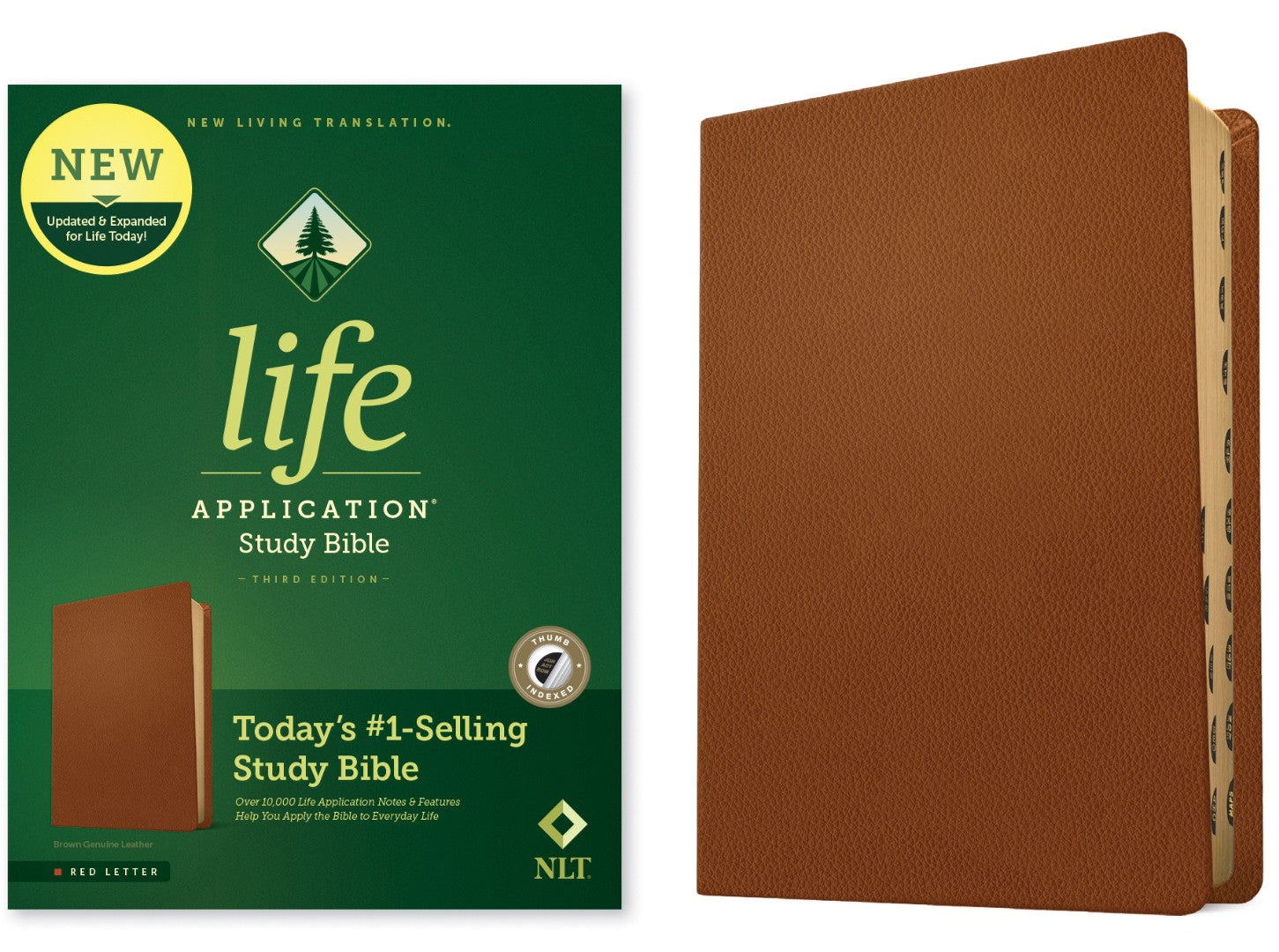 NLT Life Application Study Bible, Third Edition, Brown - Re-vived