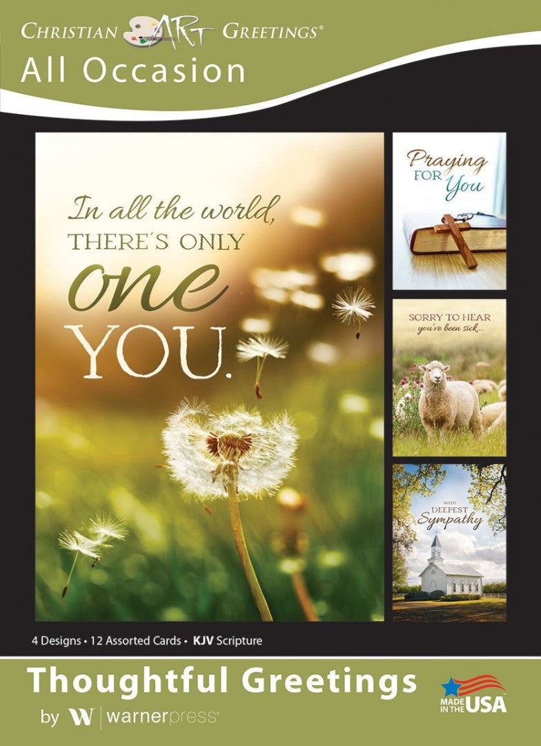 Thoughtful Greetings All Occasion Boxed Cards (box of 12) - Re-vived