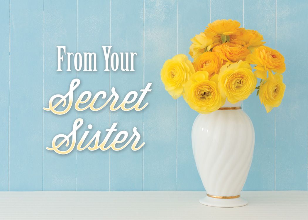 Sisters in Christ Boxed Cards (box of 12) - Re-vived