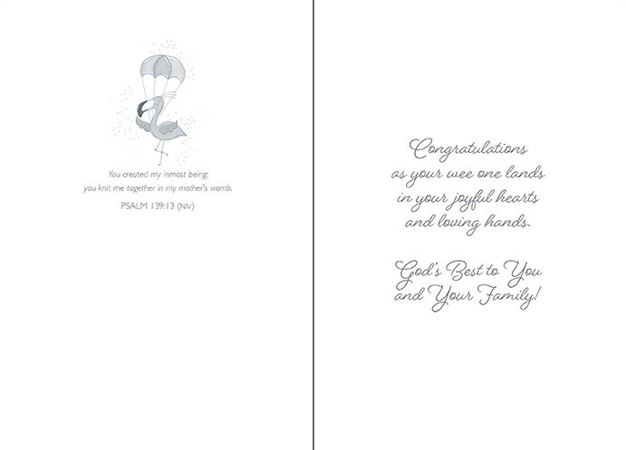Special Delivery Boxed Cards (box of 12) - Re-vived