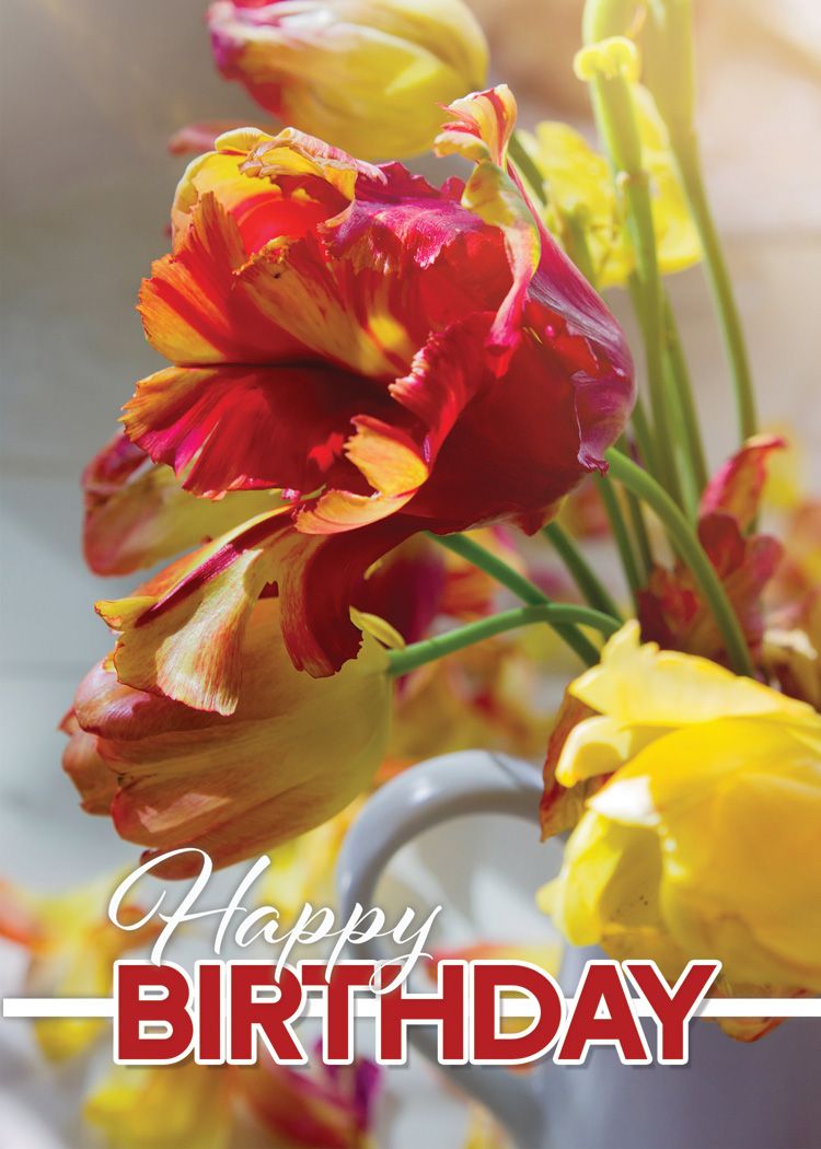 Joyful Birthday Boxed Card (box of 12) - Re-vived