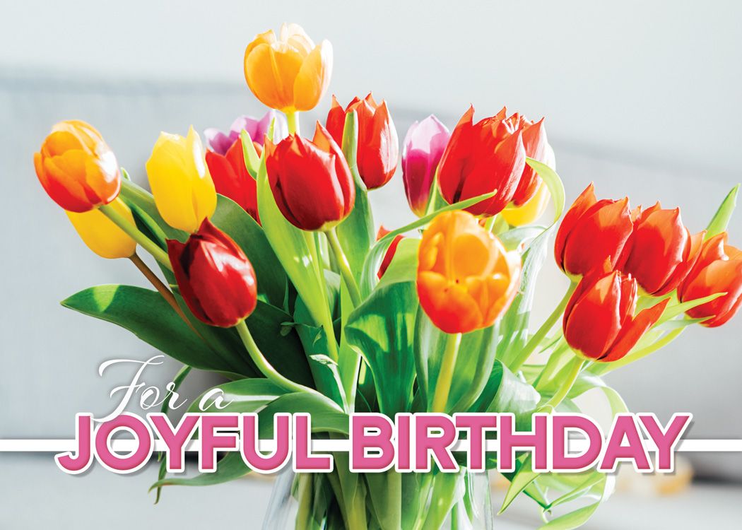 Joyful Birthday Boxed Card (box of 12) - Re-vived