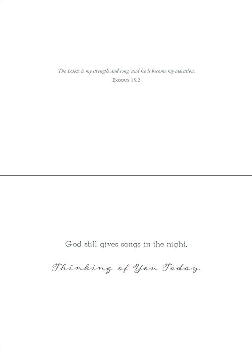 Renewing Your Spirit Boxed Cards (box of 12) - Re-vived