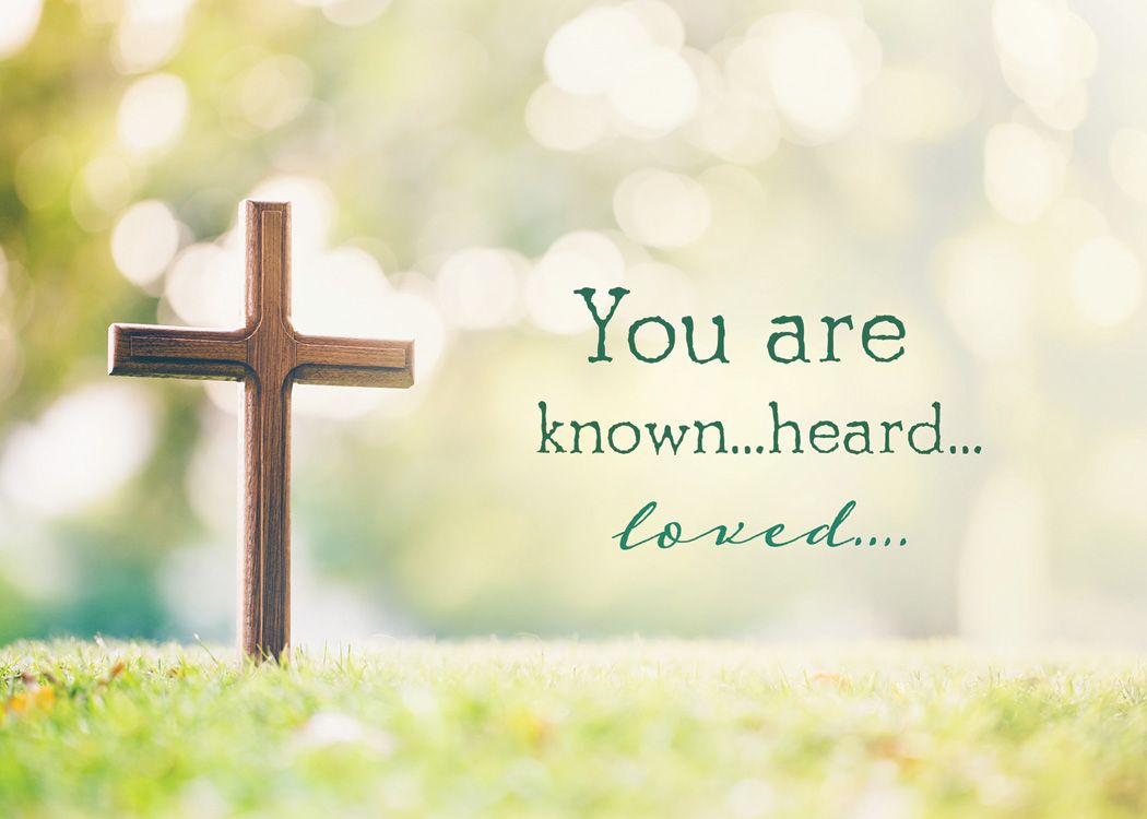 Renewing Your Spirit Boxed Cards (box of 12) - Re-vived