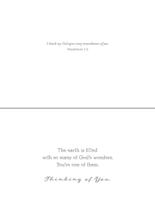 Renewing Your Spirit Boxed Cards (box of 12) - Re-vived