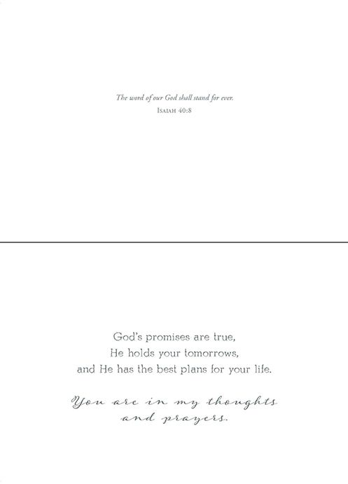 Renewing Your Spirit Boxed Cards (box of 12) - Re-vived