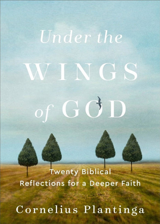 Under the Wings of God - Re-vived