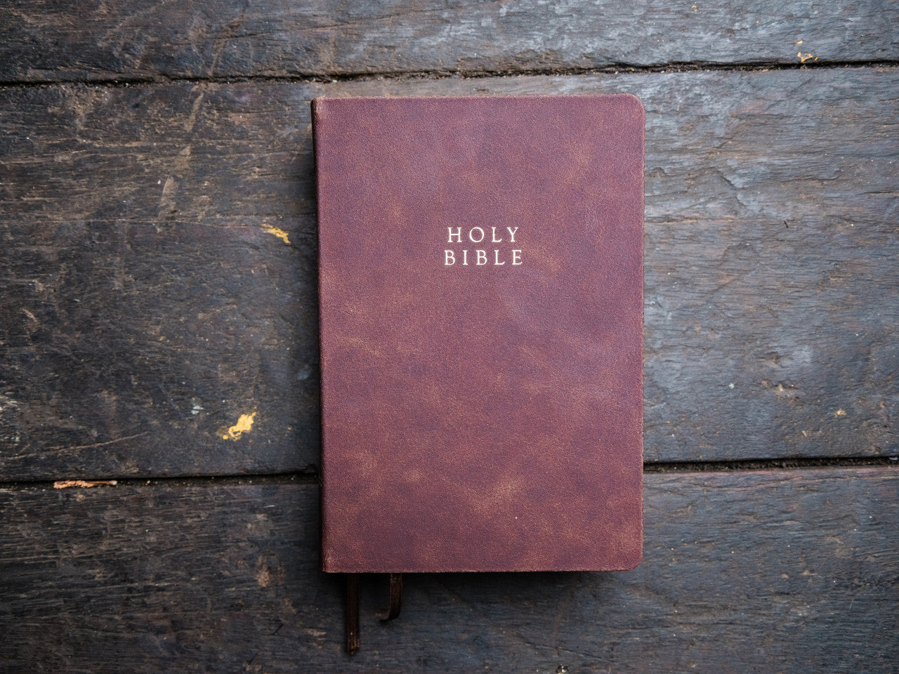 Reformation Heritage KJV Study Bible, Brown Cowhide Leather - Re-vived